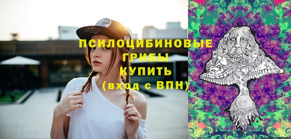 молекула духа Алексеевка