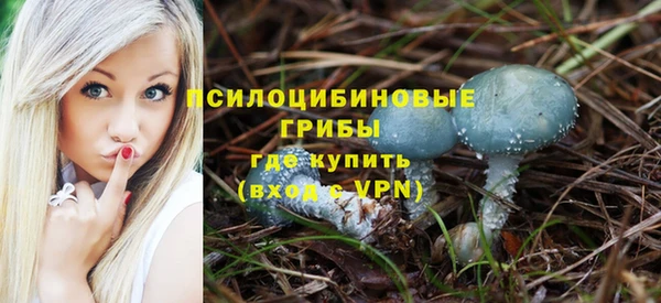 Альфа ПВП Алексин