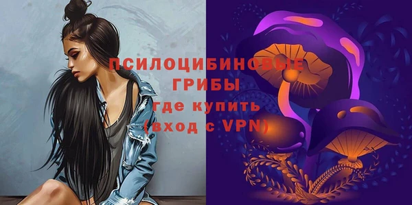 молекула духа Алексеевка